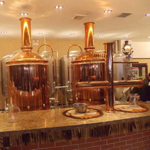 300L Brewpub / restaurante Equipamento de fabricação de cerveja usado em casa de equipamentos de microcervejaria de cobre completo